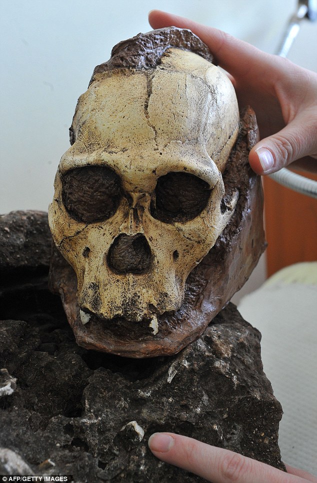 Rock containing 'most complete early human skull ever' discovered