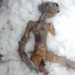 frozen-alien[1]
