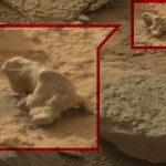Mars Photos Sign of Life