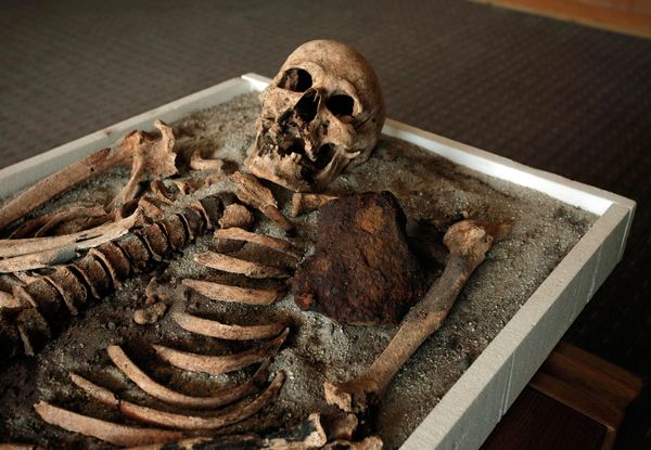 new-vampire-skeletons-found-bulgaria-oblique_57056_600x450