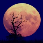 blue-moon-new-years-eve_11722_990x742