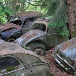 kaufdorf-car-graveyard-switzerland-16.jpg