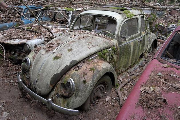 kaufdorf-car-graveyard-switzerland-2