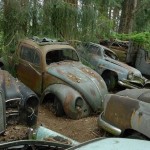 kaufdorf-car-graveyard-switzerland-8.jpg