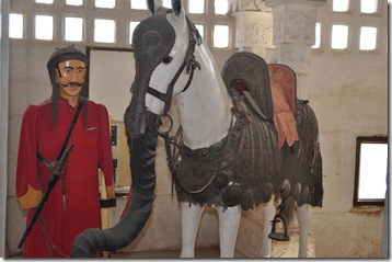 Horses Trunk-Mind-Blowing, Shocking and Amazing Facts about India