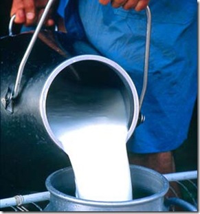 India Milk Production-Amazing Random Facts About India