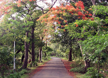 Haunted places in Mumbai