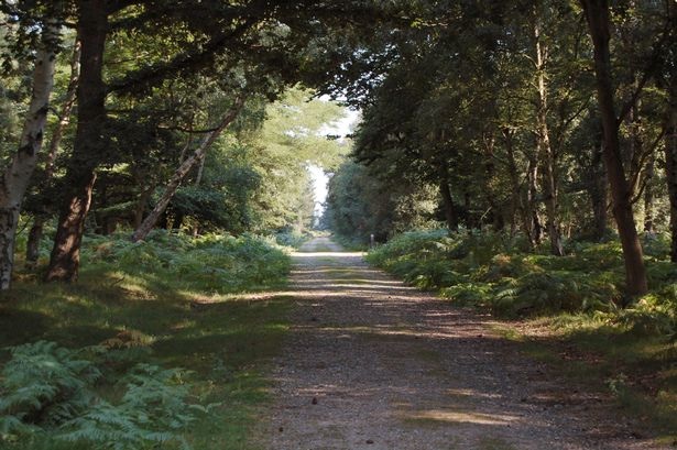 Rendlesham UFO