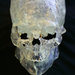 A plastic recreation of the Kennewick Man skull. Danish scientists' findings make it clear that he was Native American.
