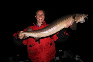 Amanda's first Lake Sturgeon at 50"