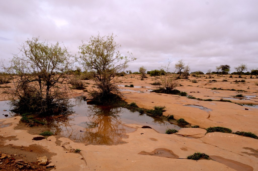 Kuldhara