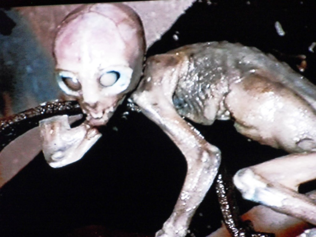 Alien Life Discovered? Hybrid Baby Skeleton Found in Peru