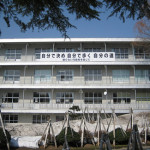 Hashima-Island-Japan-7