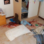 SNF2426A-682_1170259a