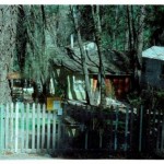 image-8-e1476631320740