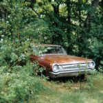 image-25-e1477936675226