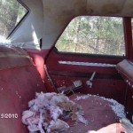 image-26-e1477936806390