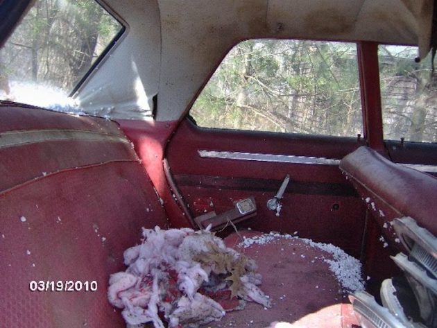 True Horror Story – The car that murdered at least 14 people