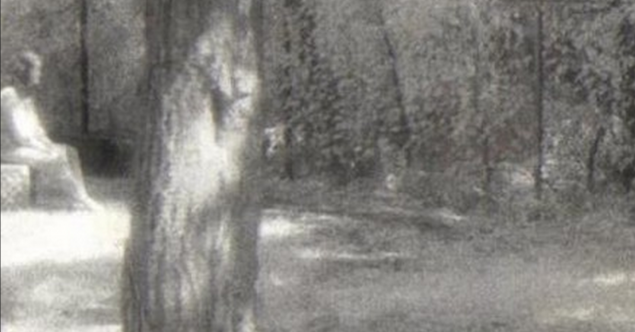 The true story of Bachelor’s Grove, The Haunted Cemetery