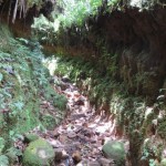 0D26F3F8-87C4-4F87-ADC6-4C916F92289B-e1518044711910