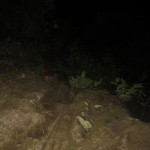 1580F41E-C210-4B4E-9BCF-AD5BF773F9DB-e1518042673101