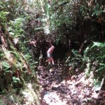 831A5DF0-9019-4851-8DAD-7093E8A490F5-e1518044939411